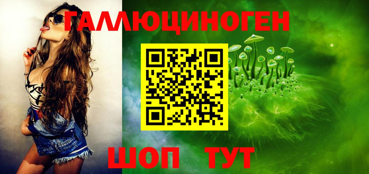 Псилоцибиновые грибы Cubensis Подольск